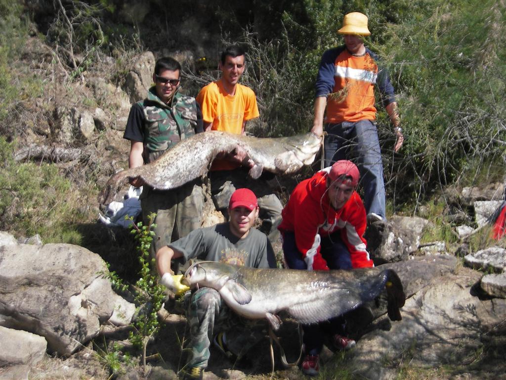 fotos pesca IMGP0778 400x225 Muy contentos por las capturas