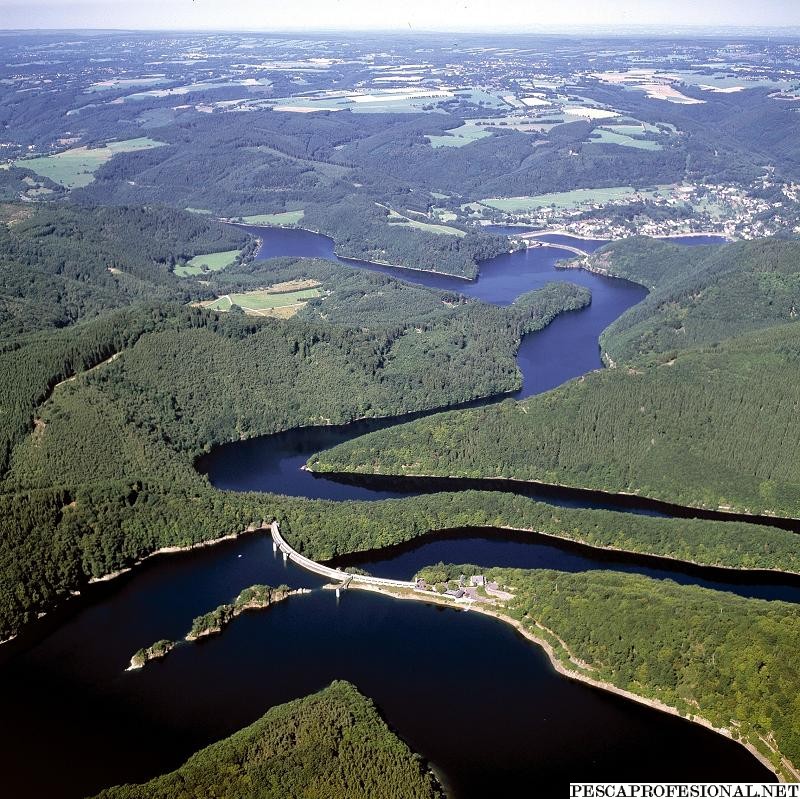 Amazonas