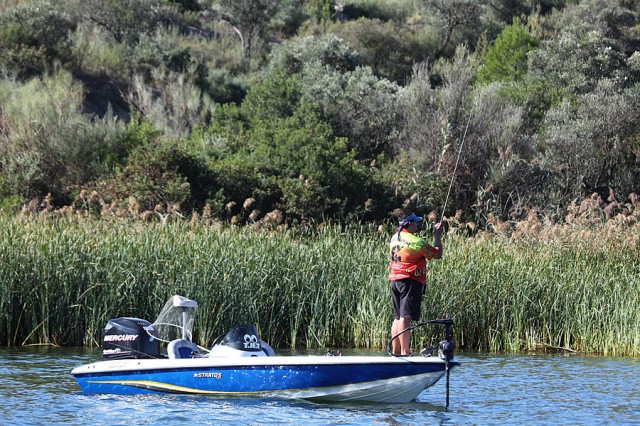 GUIA DE PESCA DEL BLACK BASS