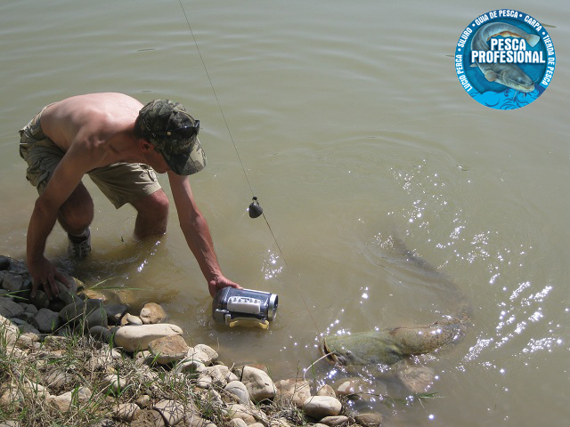 GUIA PESCA CASTILLA LEON guia pesca castilla leon: