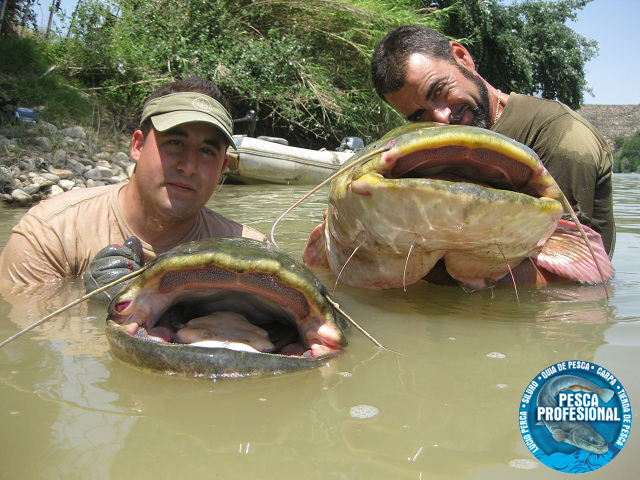 GUIA PESCA CASTILLA LEON guia pesca castilla leon: