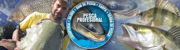 OFERTA CAÑAS Y CARRETES SILURO Y CARPA