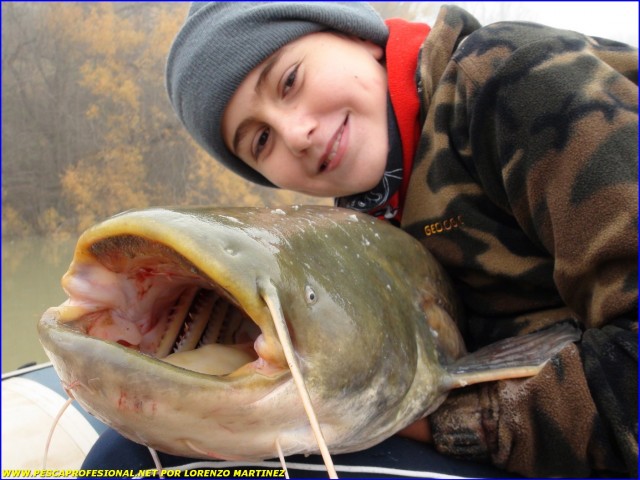 SILURO PESCA EN NOCHEBUENA