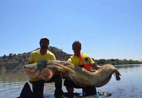 WORLD CATFISH CLASSIC 2013 CHIPRANA