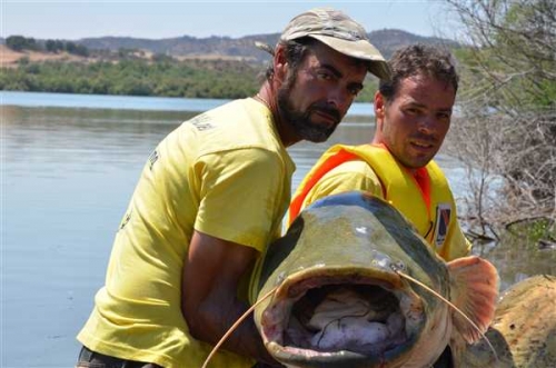 NUEVO CAMPEONATO DE PESCA DEL SILURO